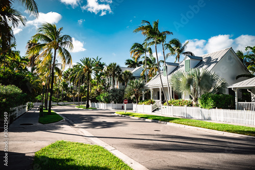 Key West neighborhood street view with palm trees