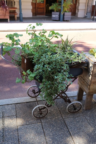 Upcycling of an old stroller flower bed, Australia photo