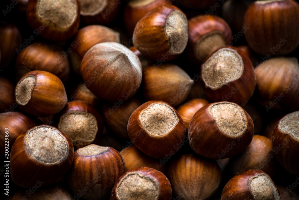 hazelnuts background. food photo concept hazelnuts background. food photo concept