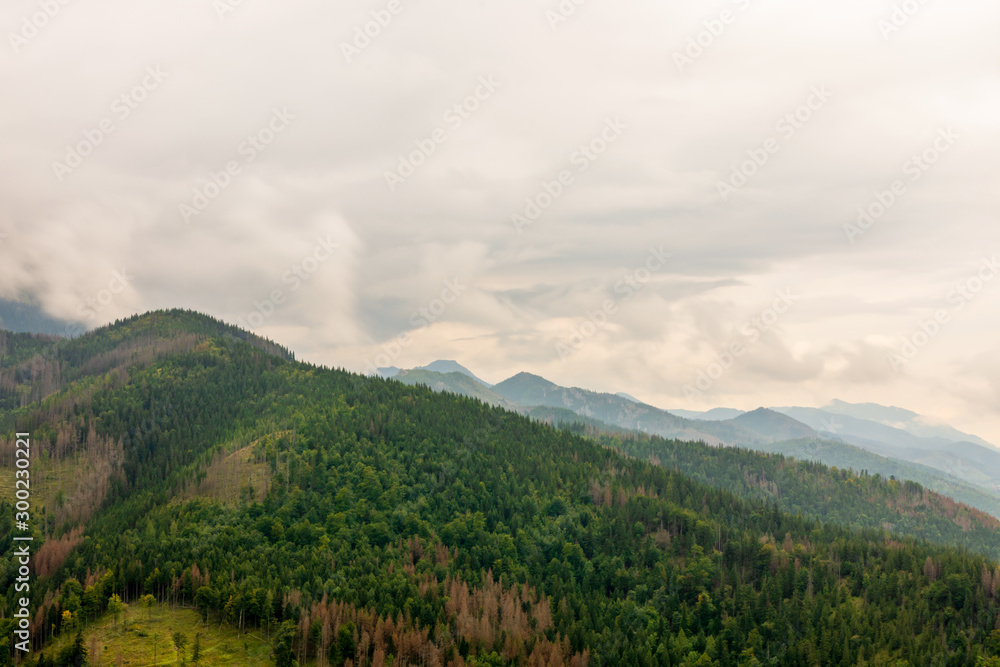 Tatry mountains covered with beautiful forests and covered with thick fog and clouds