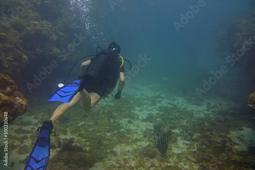 Grenada Underwater Sculpture Park Diver