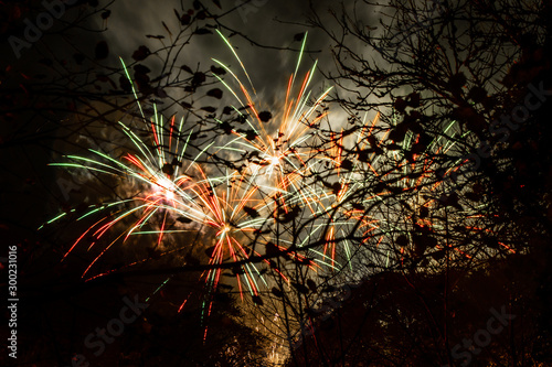 Vibrant firework explosions seen through autumn trees