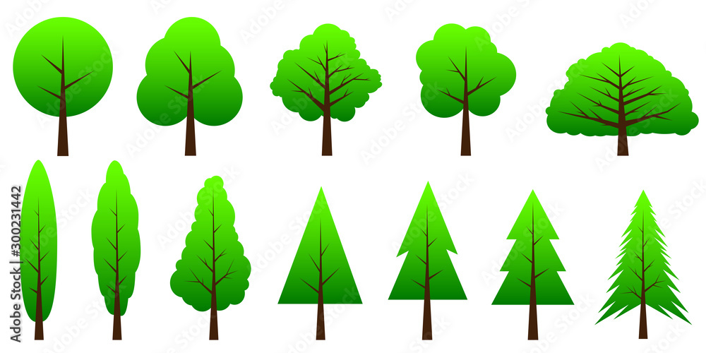Set of green trees. Poplar, Christmas tree collection. Vector icon on white background.