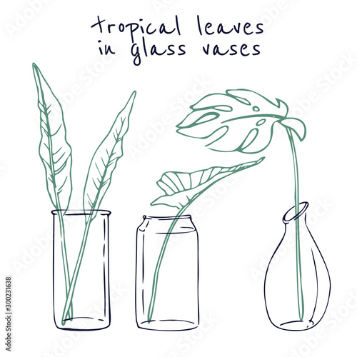 Set of floral compositions. Bouquets with hand drawn tropical leaves in glass vases. Monochrome vector illustrations in sketch style. Crystals shapes.