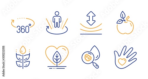Local grown, Gluten free and Resilience line icons set. Eco food, Augmented reality and 360 degrees signs. Water analysis, Social responsibility symbols. Organic tested, Bio ingredients. Vector