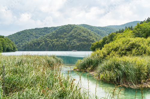 Waterfront with reeds, Plitivice Lake, Croatia photo