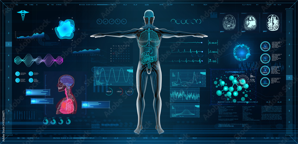 MRT and body scan in HUD style design, Human body, organs and brain scan  with pictures. X-ray hi-tech healthcare. Virtual graphic touch HUD UI,  cardiogram and data chart. Medical vector illustration Stock