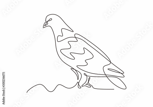 Dove or pigeon bird continuous one line drawing minimalism style. Vector hand drawn sketch animal birds design.