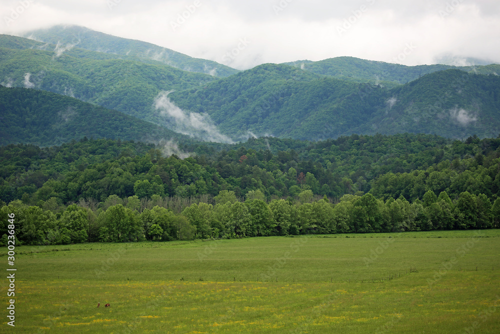 Smoky Mountains, Tennessee