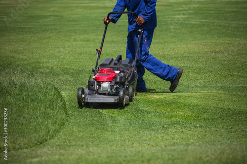 Lawnmower cutting green grass