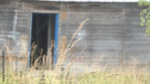 Old wooden house in the Arkhangelsk region, a Residential village home in a forest village, Abandoned people and boarded up house. Russia photo