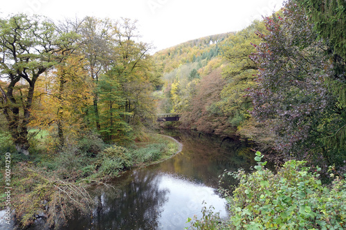 Herbstlicher Wald an der Wied