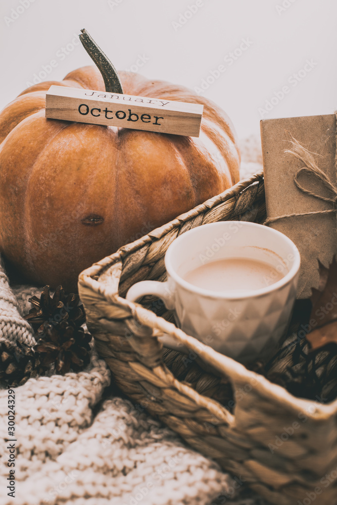 Cup of cocoa, cookies, nuts, pumpkin, glasses, dried autumn leaves on sweater background. Autumn composition.