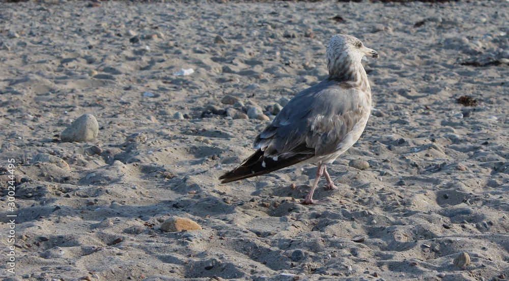 Horseneck Beach State Reservation in Westport Massachusetts
