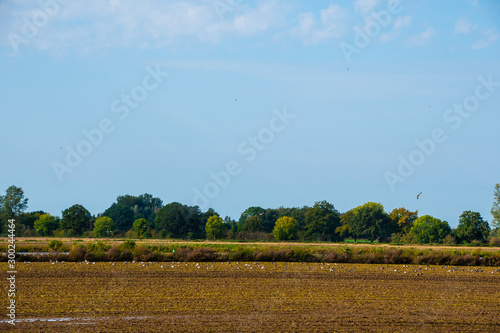 Autumn landscape. Blue sky over an empty field.