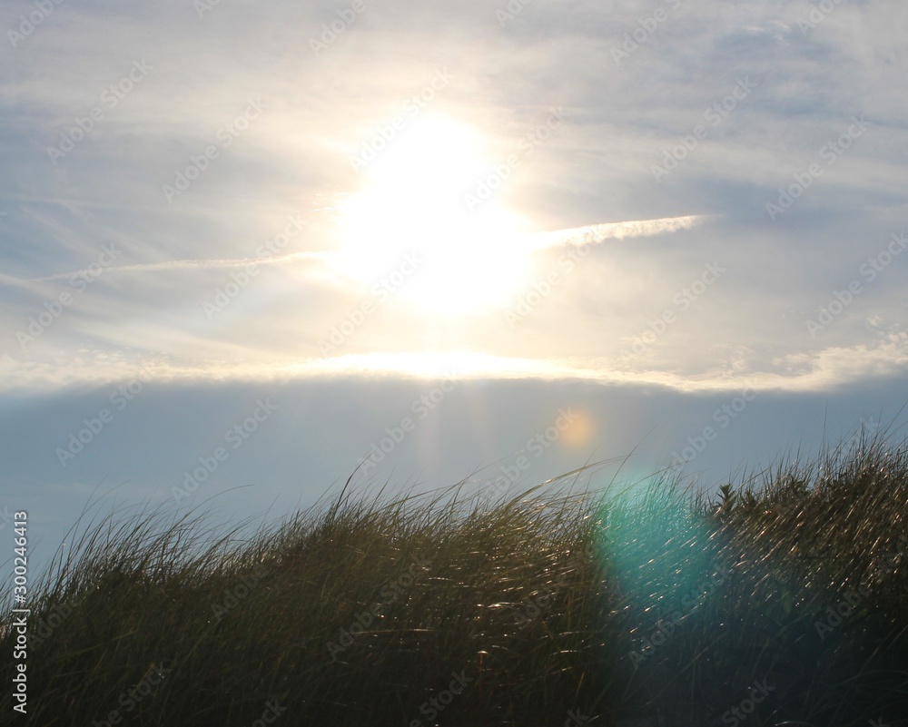 Horseneck Beach State Reservation in Westport Massachusetts