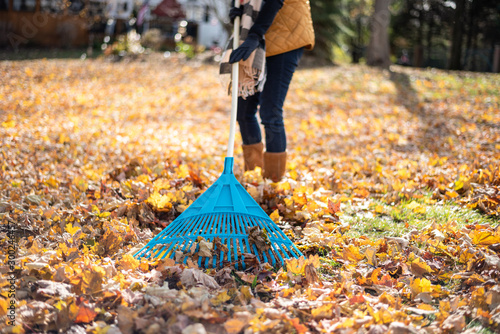 Fotografie, Obraz closeup rake in leaves