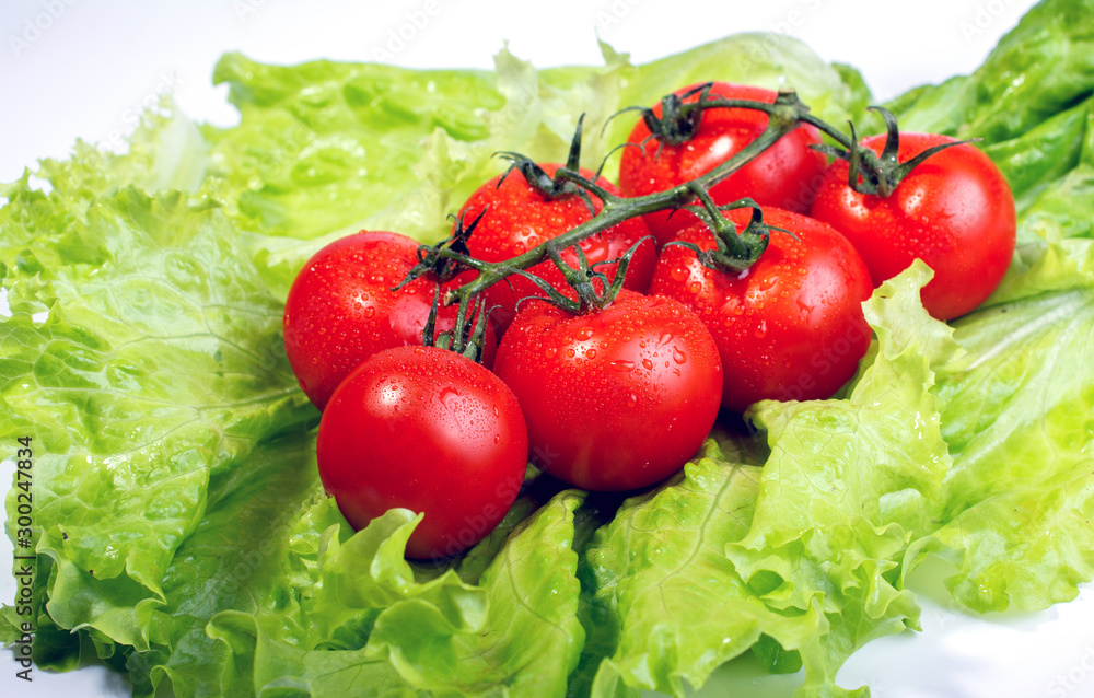 cherry tomatoes on lettuce leaves on white background cherry tomatoes on lettuce leaves on white background