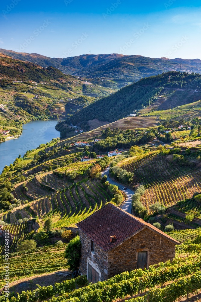 View over the Douro valley in Mesao Frio, Portugal.