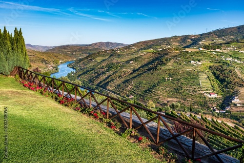 View over the Douro valley in Mesao Frio, Portugal. photo