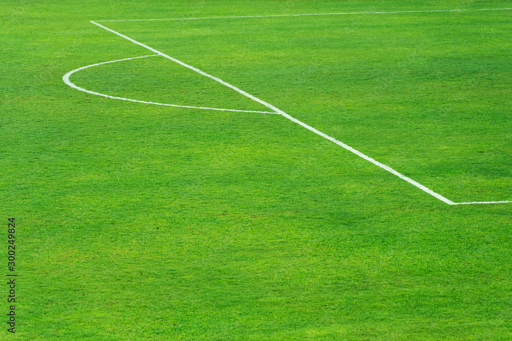 green football field with white line at goal pith sport field background green football field with white line at goal pith sport field background
