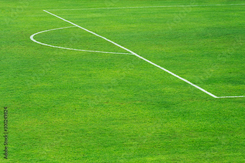 Fototapeta Naklejka Na Ścianę i Meble -  green football field with white line at goal pith sport field background