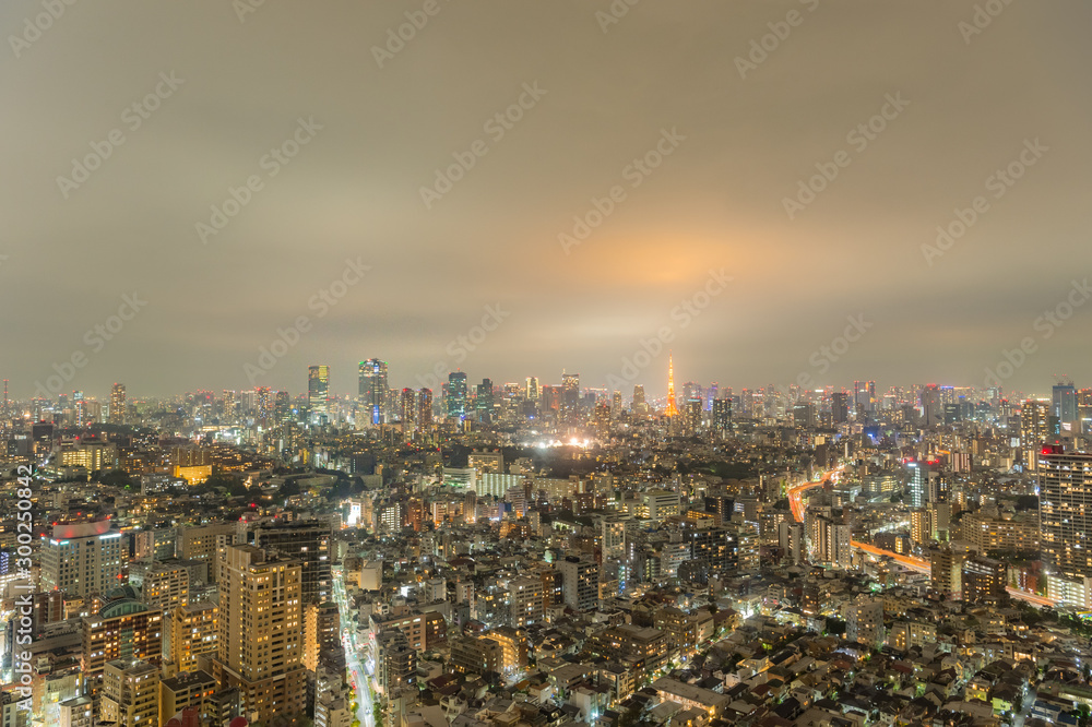 東京都渋谷区恵比寿から見た東京の夜景