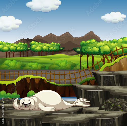 Scene with white seal in the zoo