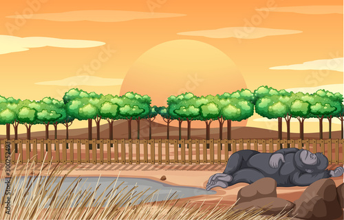 Scene with gorilla sleeping in the zoo