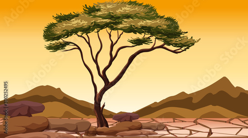 Background scene with tree in dry land