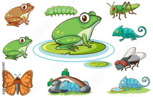 Isolated set of different insects