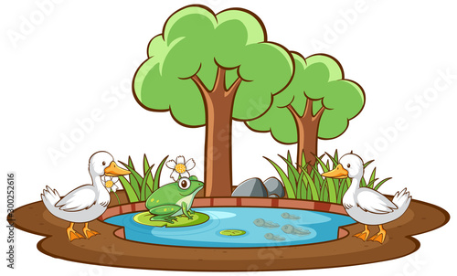 Isolated picture of duck and frog in the pond