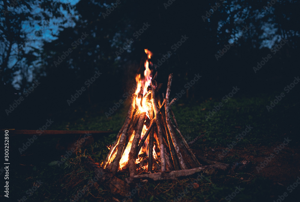 Fire - bonfire in the garden - Camping and tents - obrazy, fototapety, plakaty 