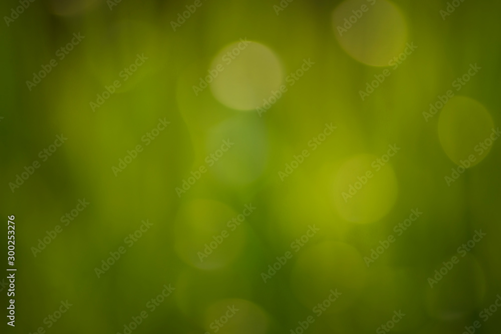 Obraz premium biały bokeh streszczenie zielone tło