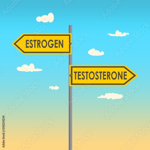 Road signs with testosterone and estrogen text. Male and female hormones