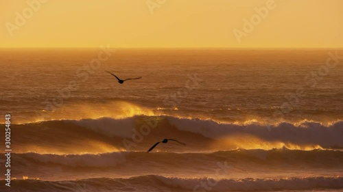 Two seagulls fly by as offshore wind blows into breaking ocean waves