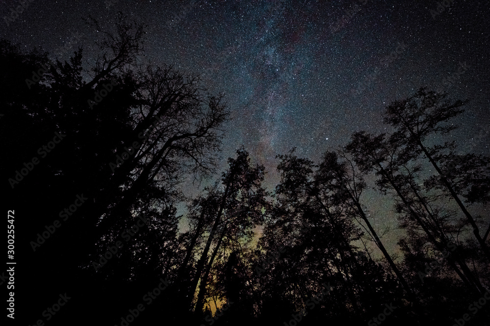 Stunning night photography shots of the milky way, nebulas, stars, and clusters of the night sky. Bowen Island BC Canada with stunning beaches, forests and clear skies. Stunning night photography shots of the milky way, nebulas, stars, and clusters of the night sky. Bowen Island BC Canada with stunning beaches, forests and clear skies.