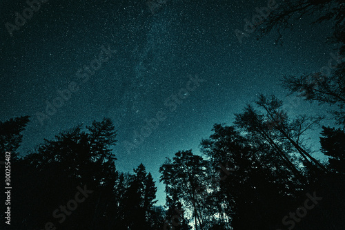 Stunning night photography shots of the milky way  nebulas  stars  and clusters of the night sky.  Bowen Island BC Canada with stunning beaches  forests and clear skies.
