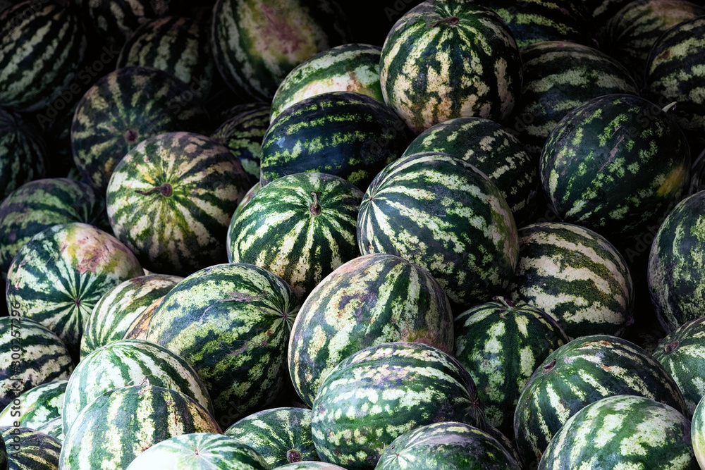 Water melon at fruit market
