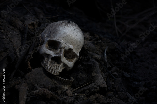 Skull and bones digged from pit in the scary graveyard  / Still life and art image