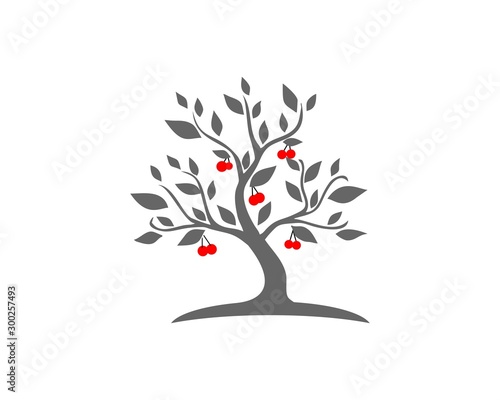 Fototapeta Cherry tree logo