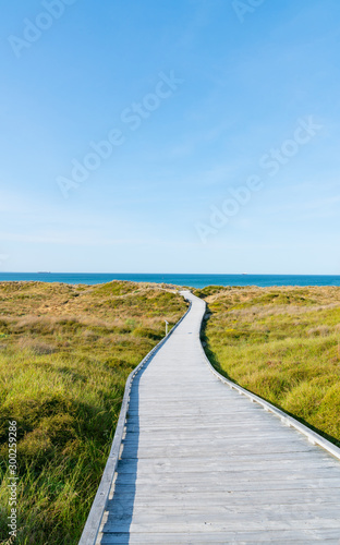 Wooden walkway through dunes to sea