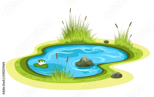 Cartoon garden pond