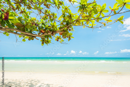 Fototapeta Naklejka Na Ścianę i Meble -  Beautiful and Breathtaking tropical beach at Koh Chang  Island, Wonderful tropical beach for relaxation and travel, Special white sandy at the exotic beach