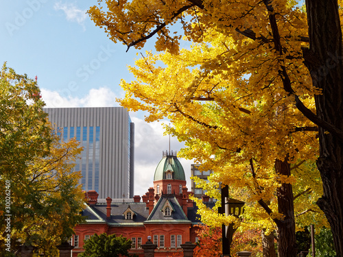 秋の道庁赤レンガ