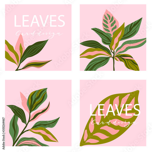 Set of four square card template. Universal trend posters with bright tropical leaves foliage on the pink background.  Stylish design for banners, brochures, magazines or sale