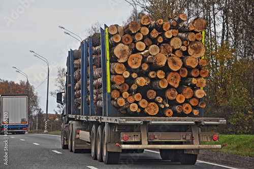 Big heavy wood truck transports logs on a semi-trailer on a coubtry asphalt highway road on autumn day against a gray sky - commercial lumber import in Europe, timber trading photo