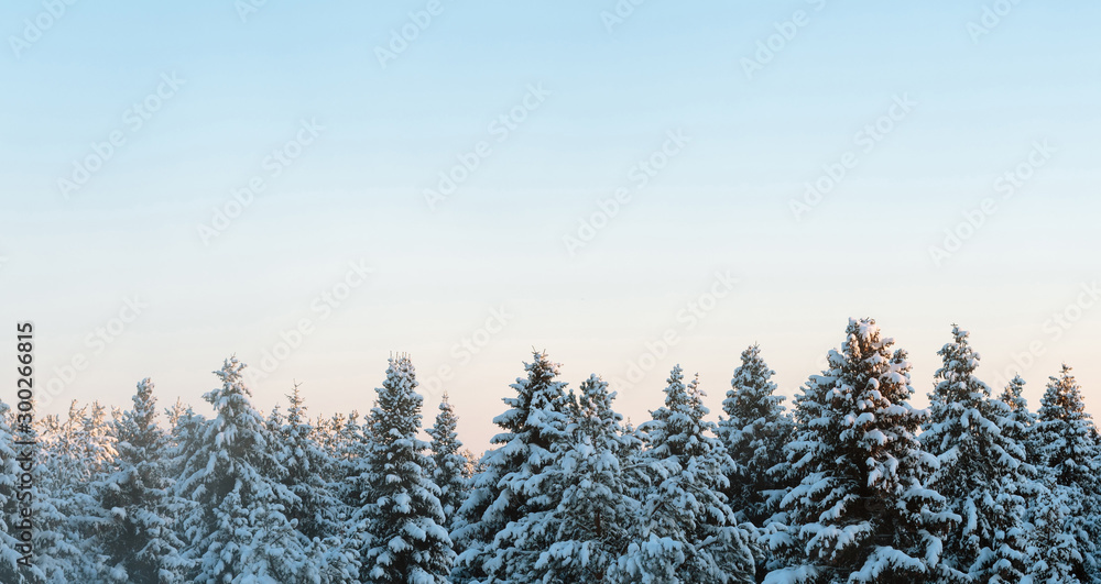 Russian winter forest and sky beautiful landscape - obrazy, fototapety, plakaty 