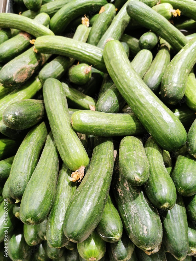 fresh saudi cucumbers at market, saudi arabia fresh saudi cucumbers at market, saudi arabia