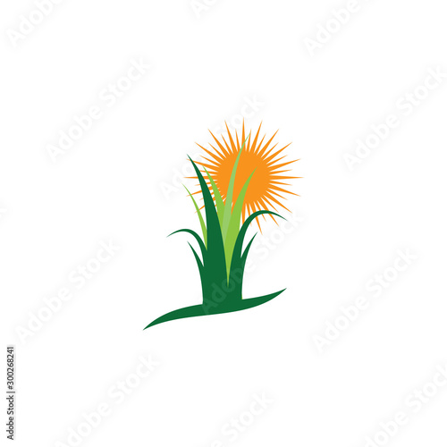 Grass logo vector